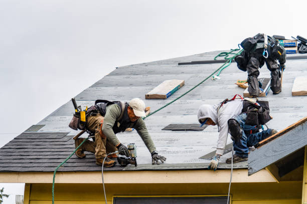 Professional Roofing technician working in Cutler, IN